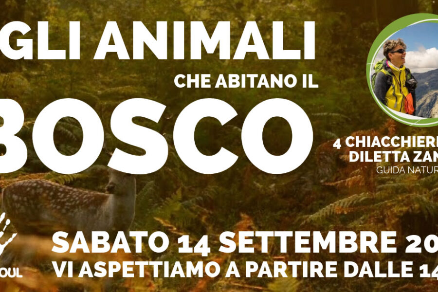 Gli animali che abitano il bosco