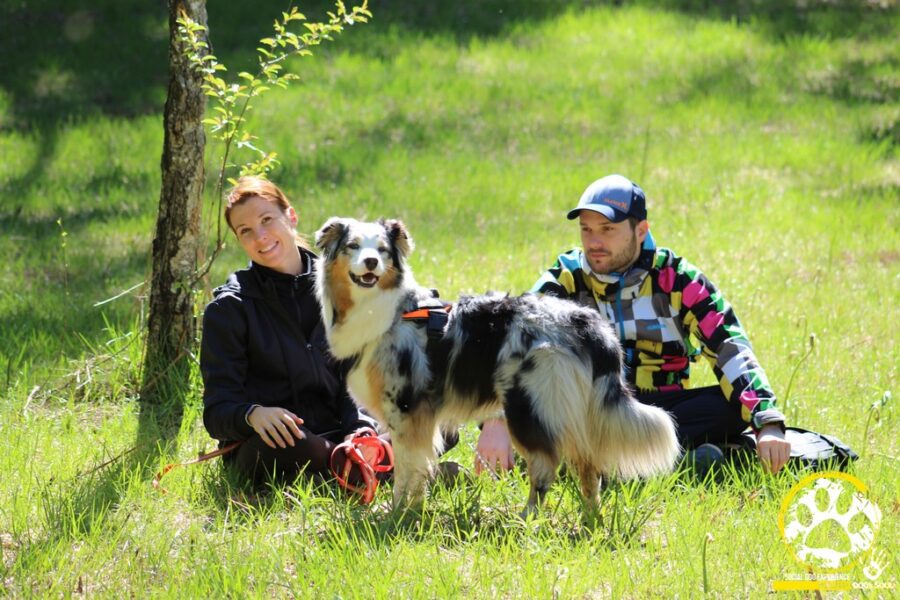 Social Dog: l’avventura raddoppia (e arriva in montagna!)