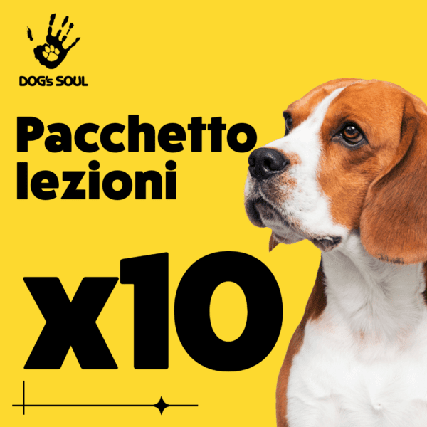 Pacchetto 10 incontri individuali