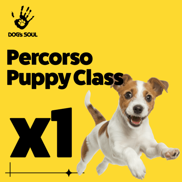 Puppy Class