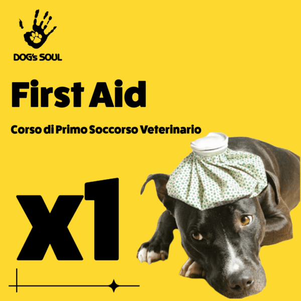 Corso First Aid