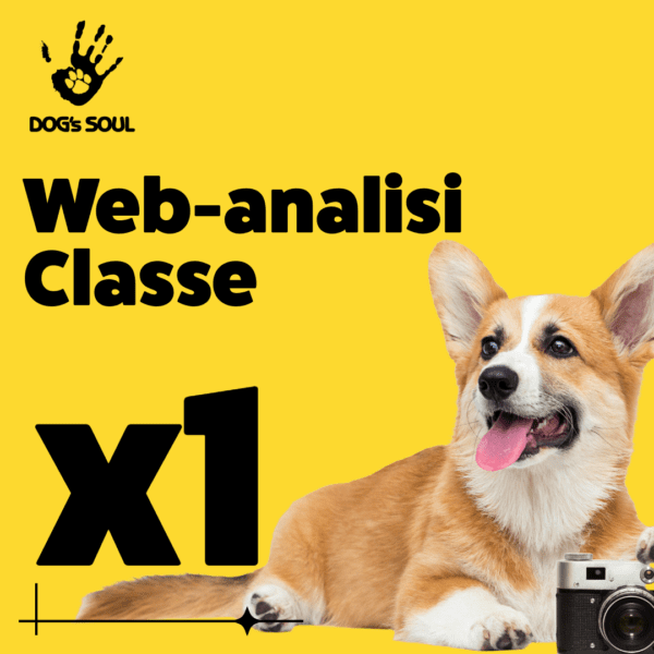 Web analisi classe